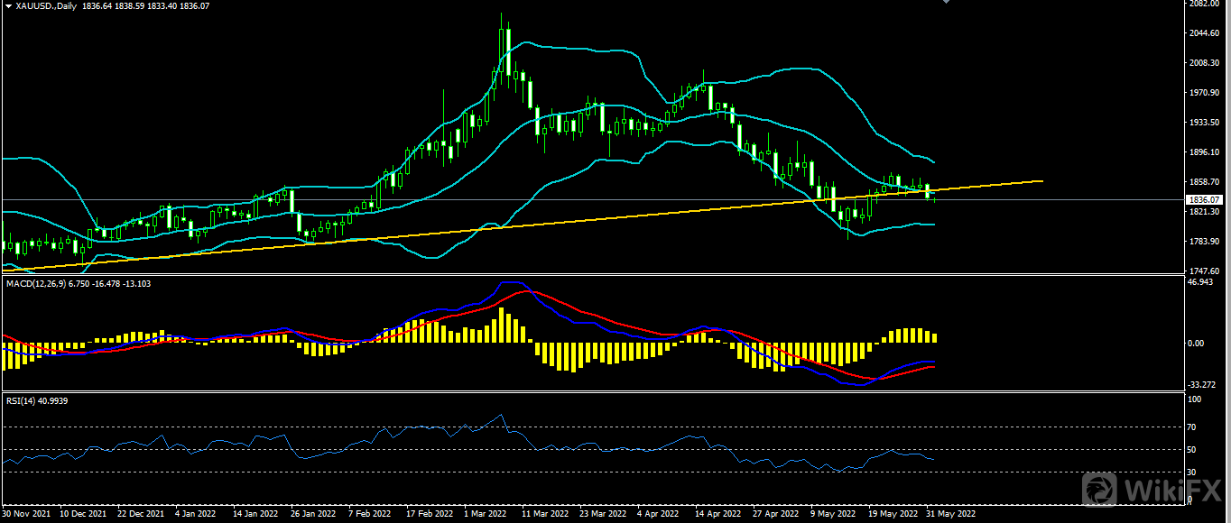 1654063151670138.png 黄金.png